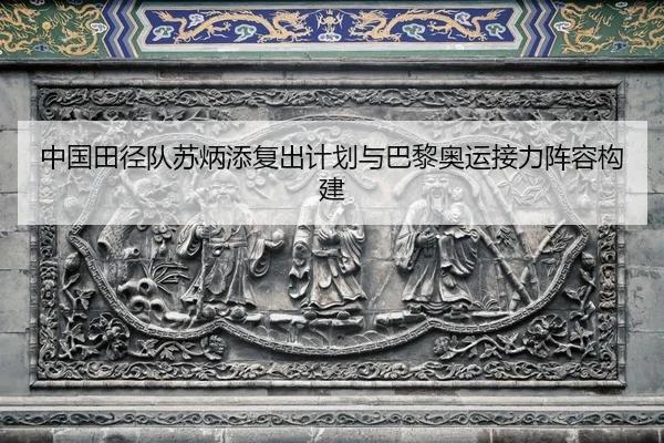zhong-guo-tian-jing-dui-su-bing-tian-fu-chu-ji-hua-yu-ba-li-ao-yun-jie-li-zhen-rong-gou-jian-2-655.jpg