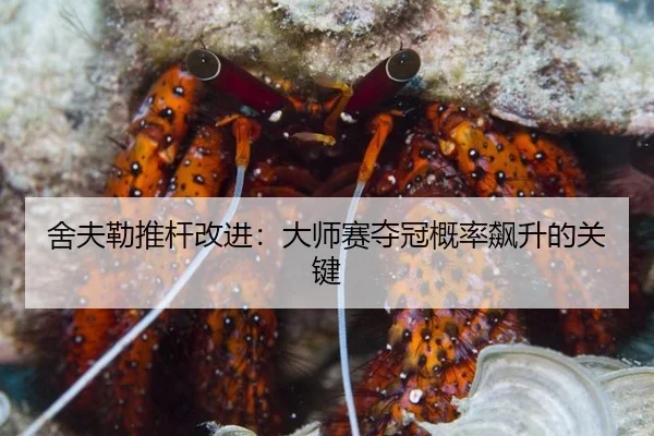 she-fu-lei-tui-gan-gai-jin-da-shi-sai-duo-guan-gai-lv-biao-sheng-de-guan-jian-3-170.jpg
