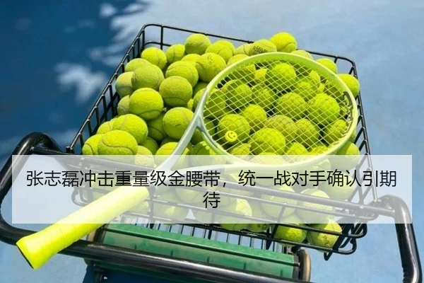 张志磊冲击重量级金腰带，统一战对手确认引期待