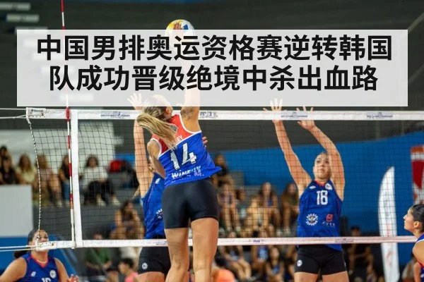 中国男排奥运资格赛逆转韩国队成功晋级绝境中杀出血路