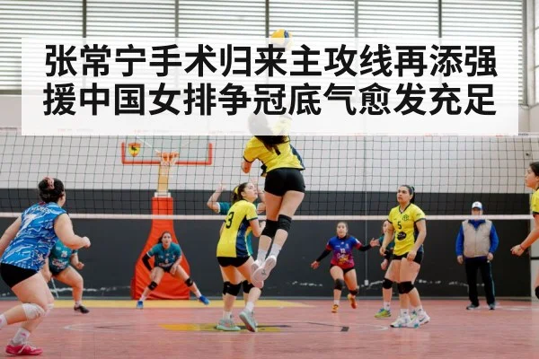 women's volleyball match