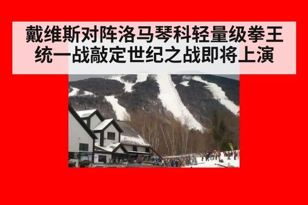 戴维斯对阵洛马琴科轻量级拳王统一战敲定世纪之战即将上演